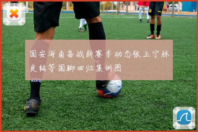 国安海南备战新赛季动态张玉宁林良铭等国脚回归集训图