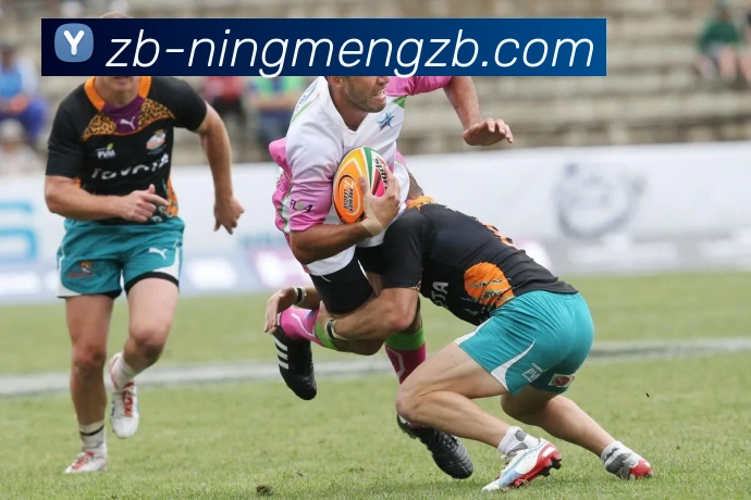 柠檬直播平台生态图