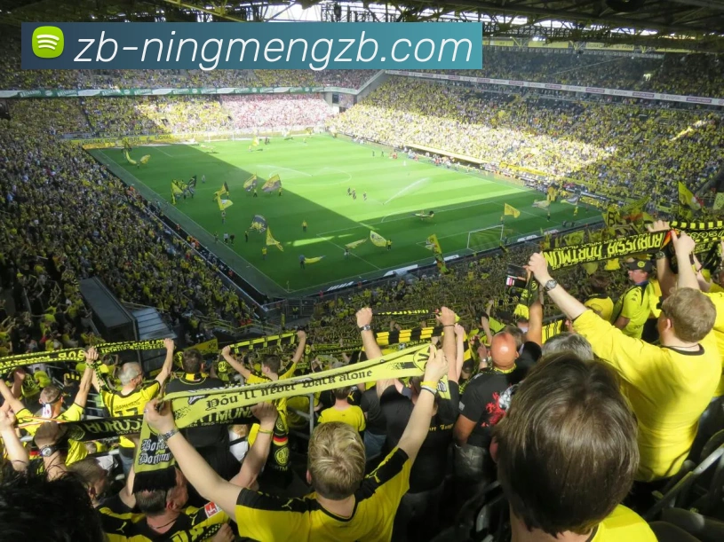 柠檬直播全站App